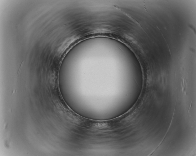 X0000103291313200809121958