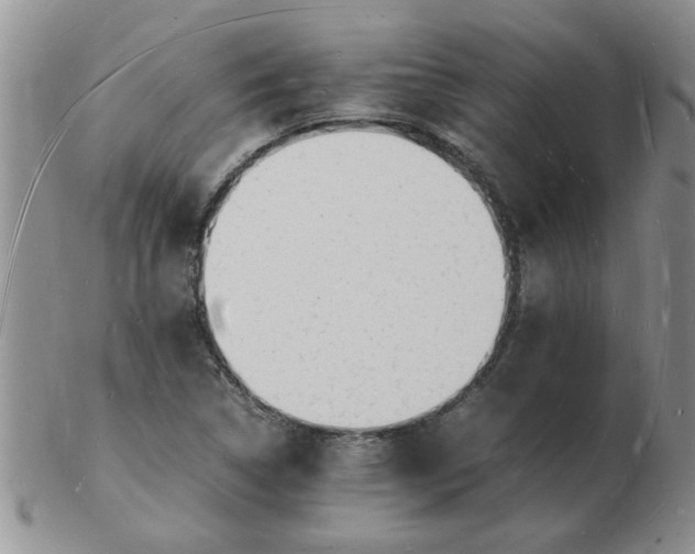 X0000103291314200809121958