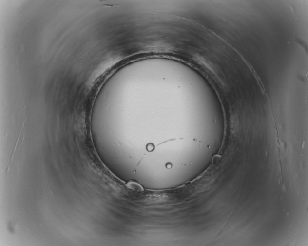 X0000103291315200809121958