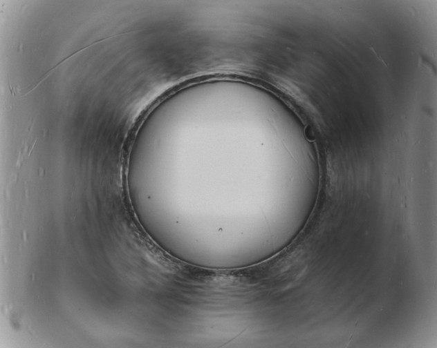 X0000103291316200809121958