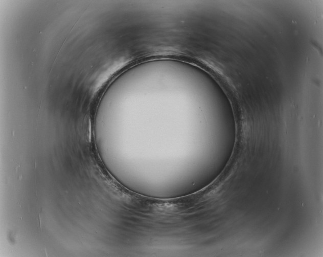 X0000103291317200809121958