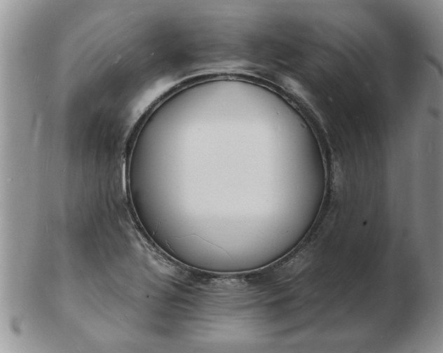 X0000103291320200809121959