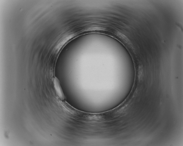 X0000103291321200809121959