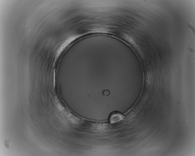 X0000103291323200809121959