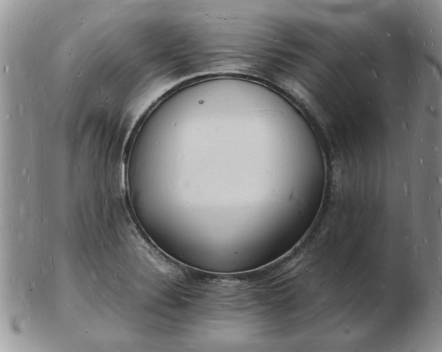 X0000103291324200809121959