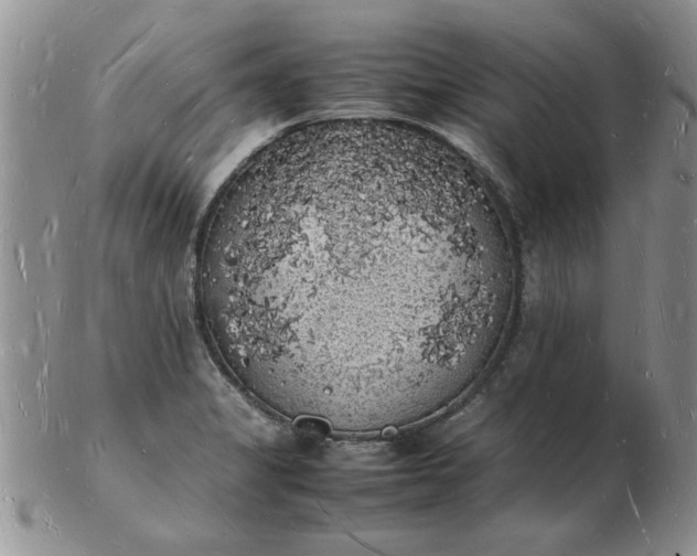 X0000103291325200809121959