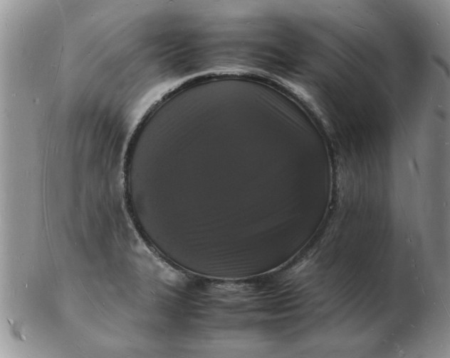 X0000103291327200809121959