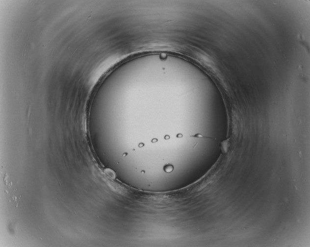 X0000103291328200809121959