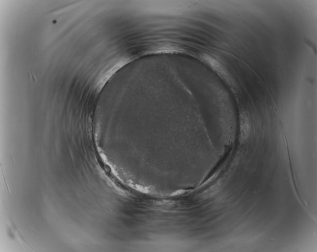 X0000103291329200809121959