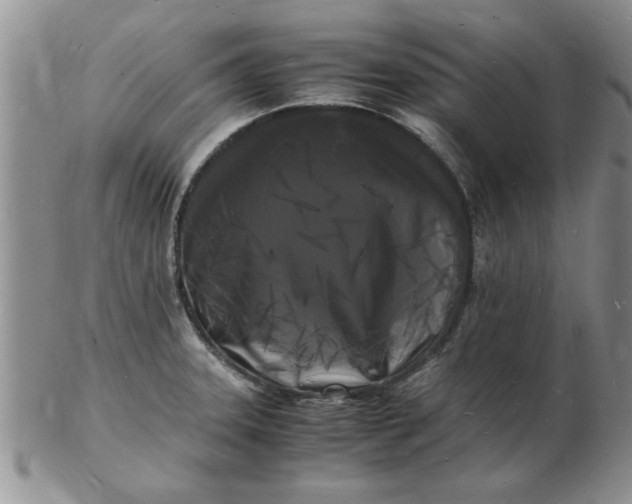 X0000103291331200809121959