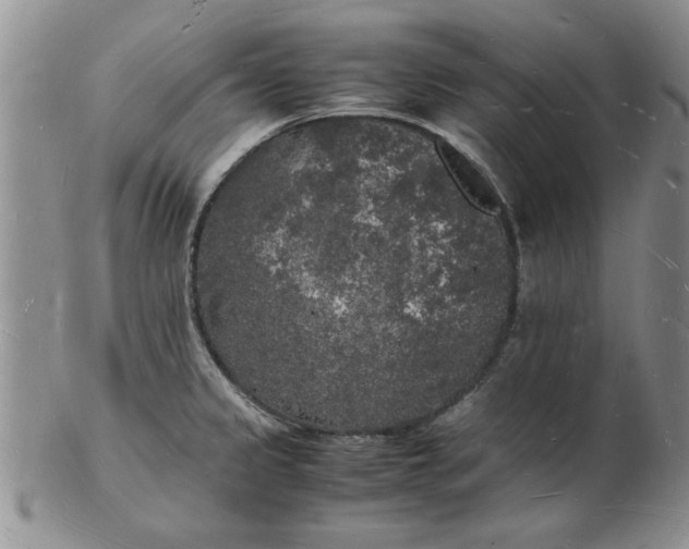 X0000103291333200809121959