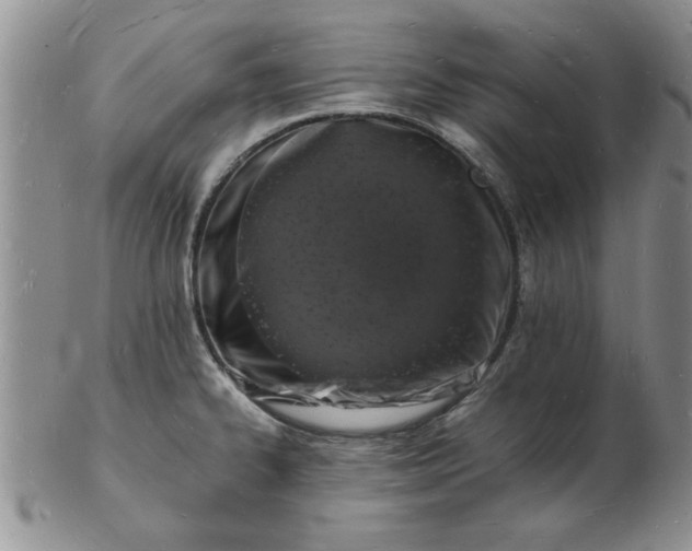 X0000103291334200809121959