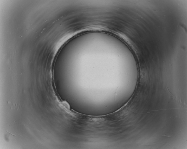 X0000103291335200809121959