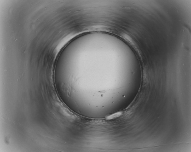 X0000103291336200809121959