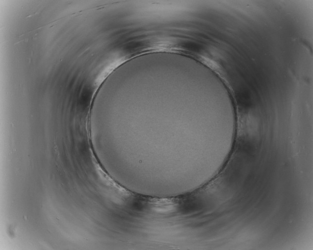 X0000103291338200809121959