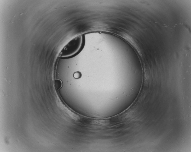 X0000103291339200809121959