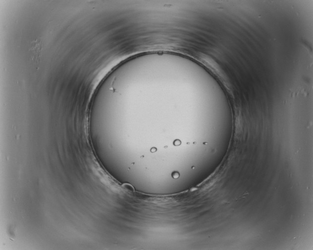 X0000103291340200809121959