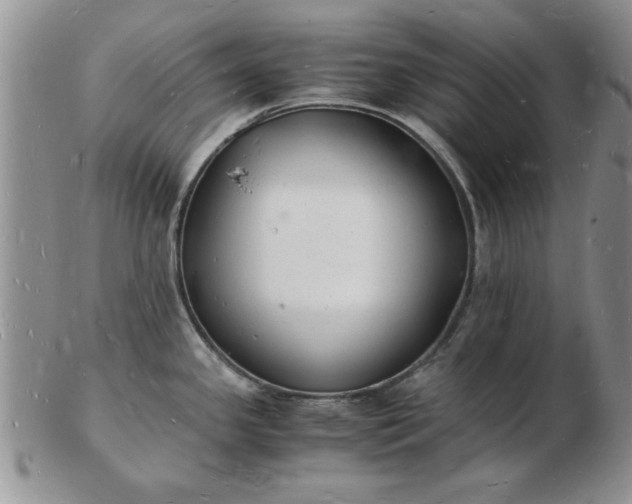 X0000103291341200809121959