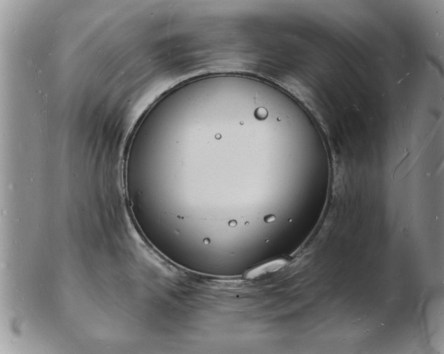 X0000103291342200809121959