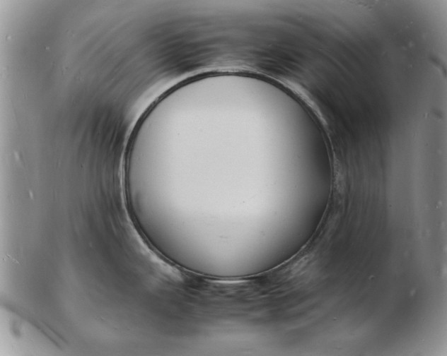 X0000103291343200809121959