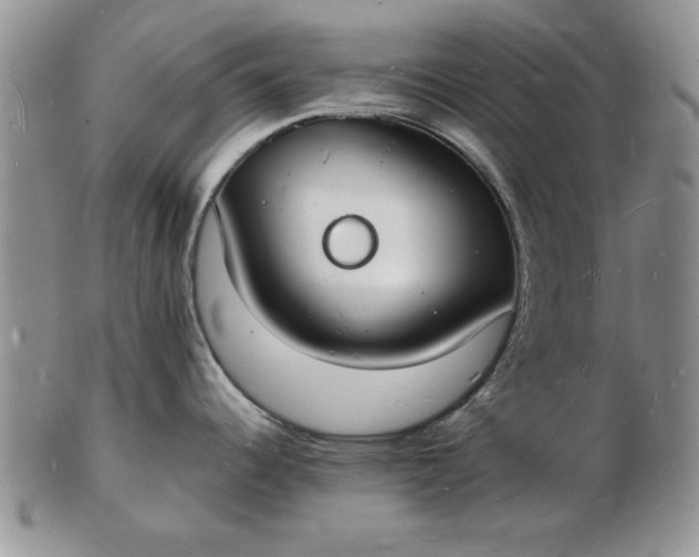 X0000103291344200809121959