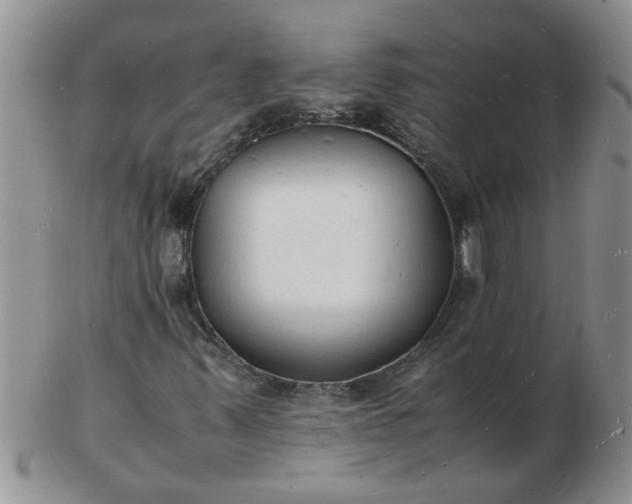 X0000103291347200809121958