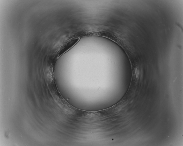 X0000103291348200809121958