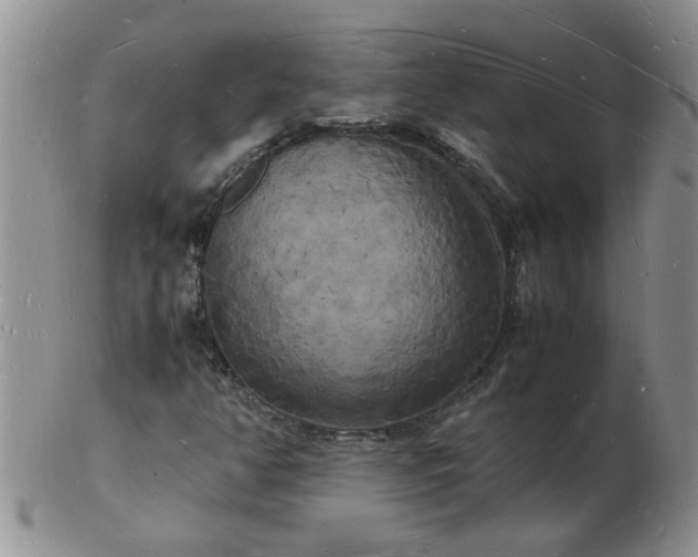 X0000103291350200809121958