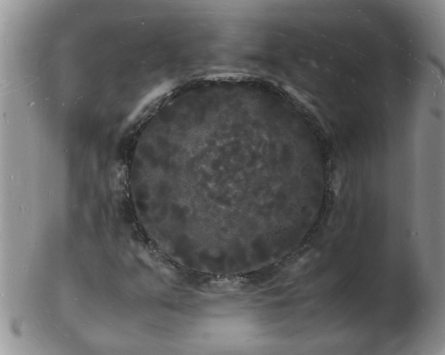 X0000103291351200809121958