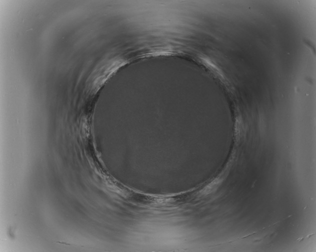 X0000103291353200809121958