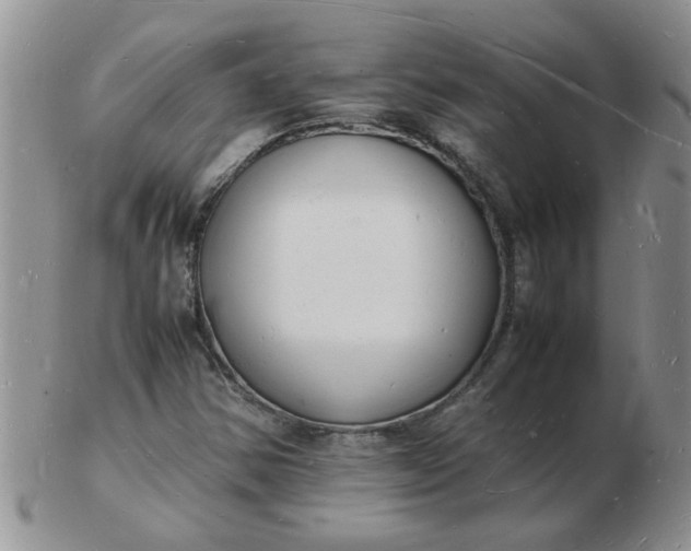 X0000103291354200809121958