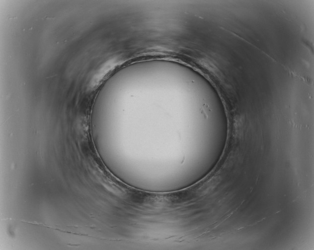 X0000103291355200809121958