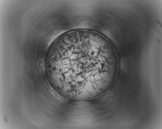 X0000103291356200809121958