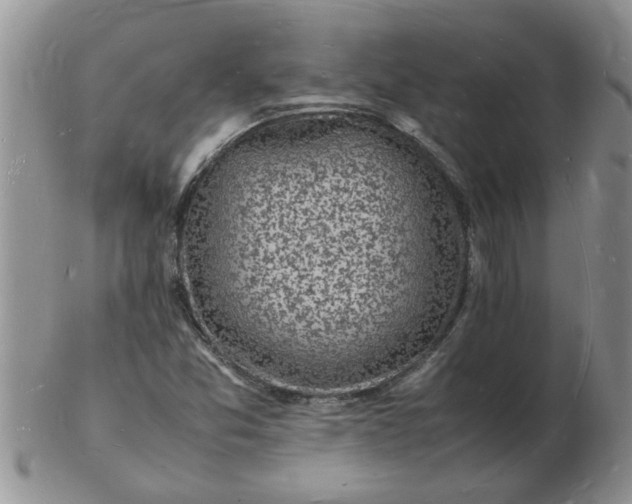 X0000103291357200809121958