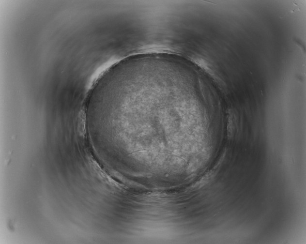 X0000103291358200809121958