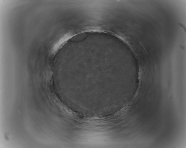 X0000103291359200809121958