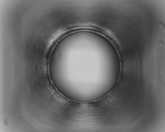 X0000103291360200809121958