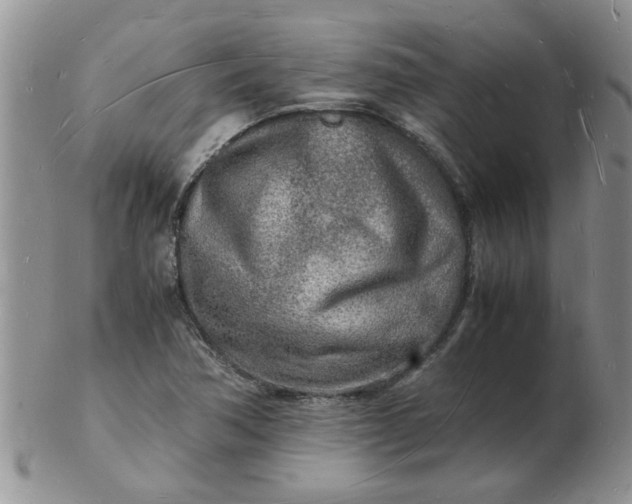 X0000103291362200809121958