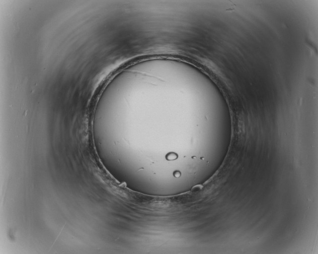 X0000103291364200809121958