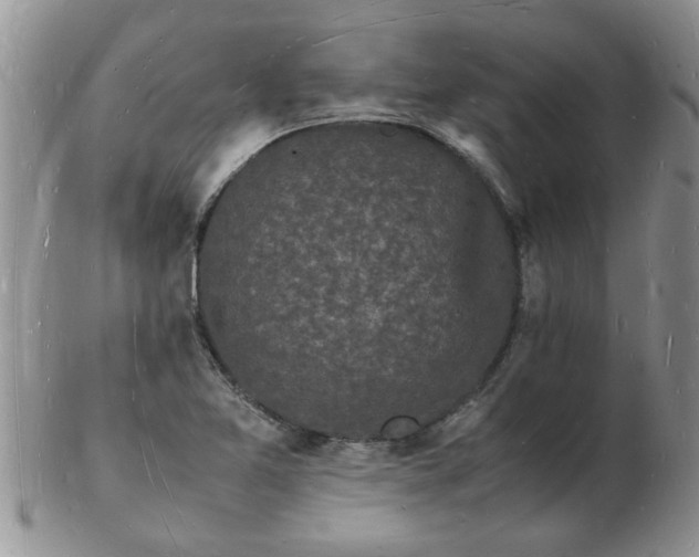 X0000103291365200809121958