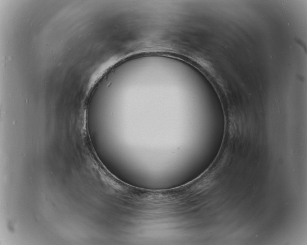 X0000103291366200809121958