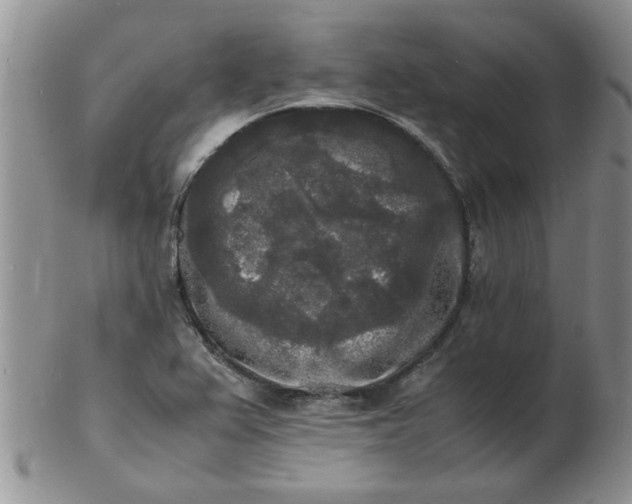 X0000103291367200809121958