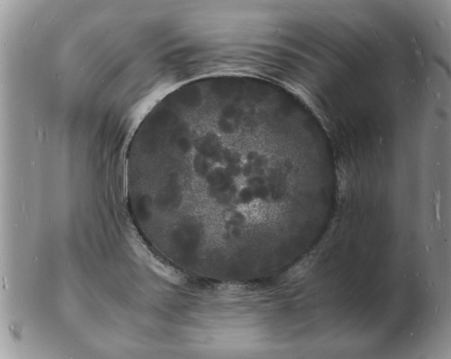 X0000103291371200809121958