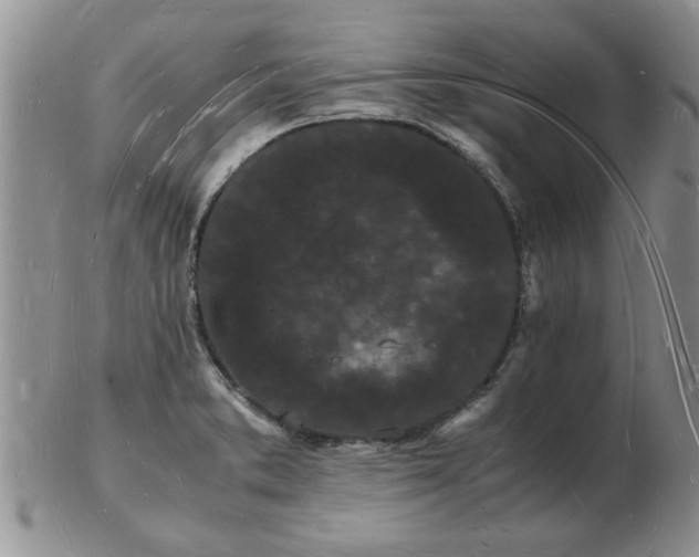 X0000103291373200809121958