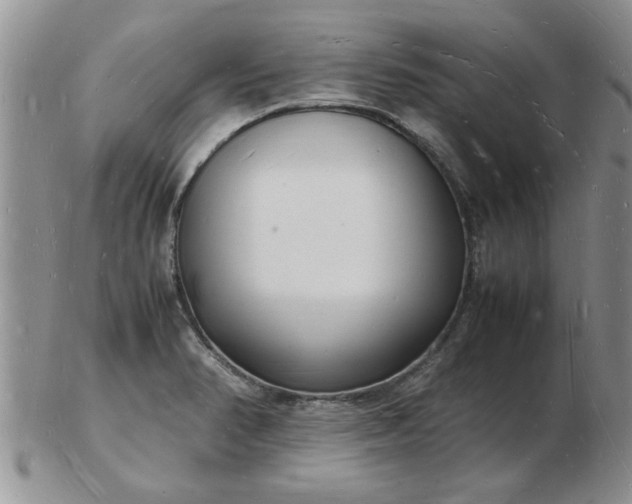 X0000103291374200809121958