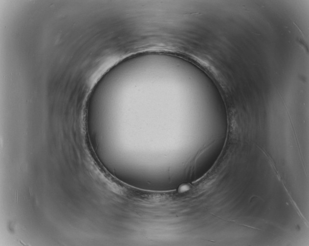 X0000103291375200809121958