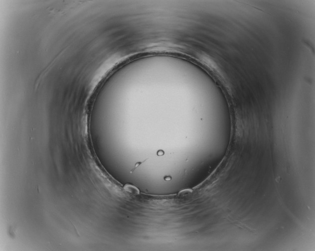 X0000103291376200809121958