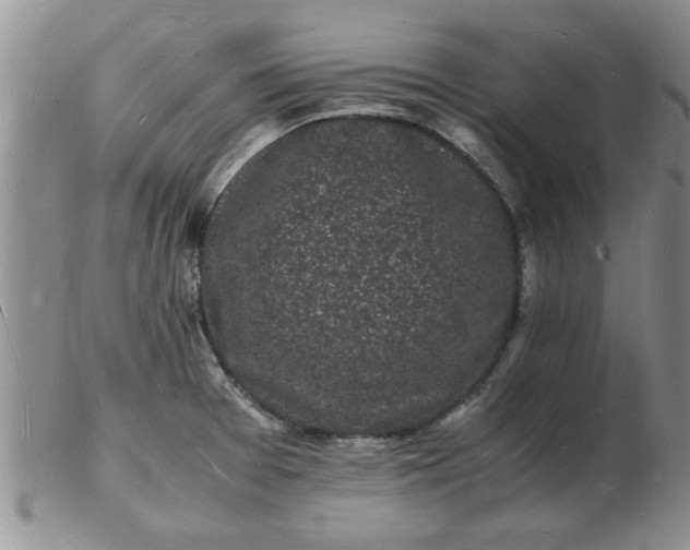 X0000103291377200809121958