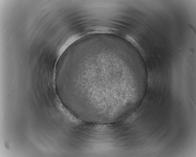 X0000103291378200809121958