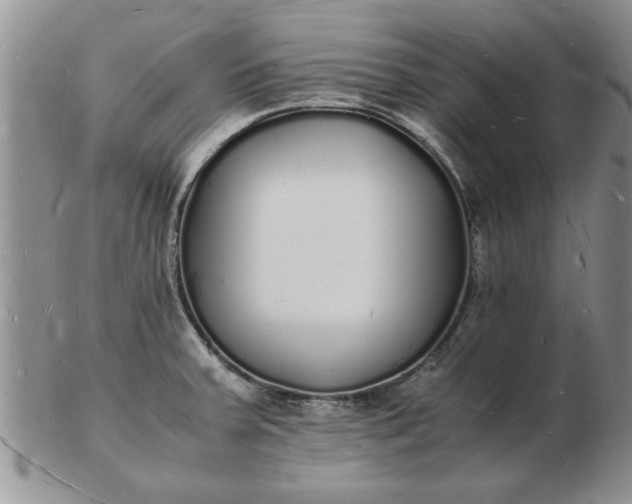 X0000103291379200809121958